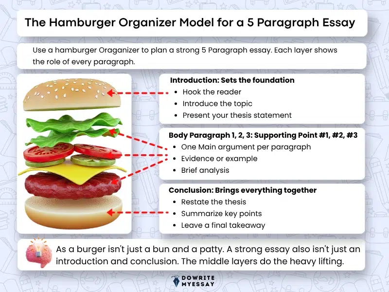 hamburger organizer model for a 5 paragraph essay showing introduction body paragraphs and conclusion structure